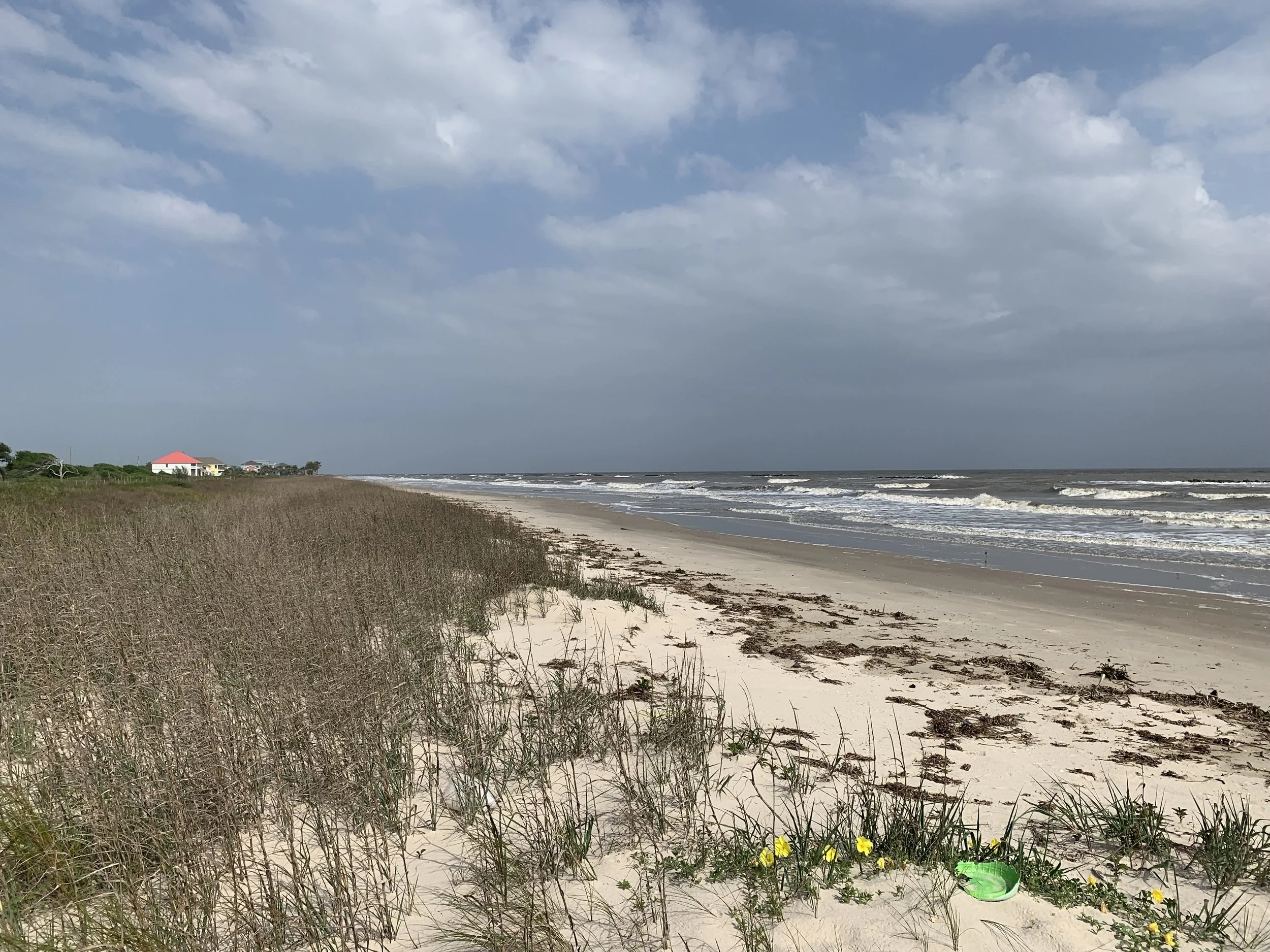 Louisiana Gulf Coast beach habitat
