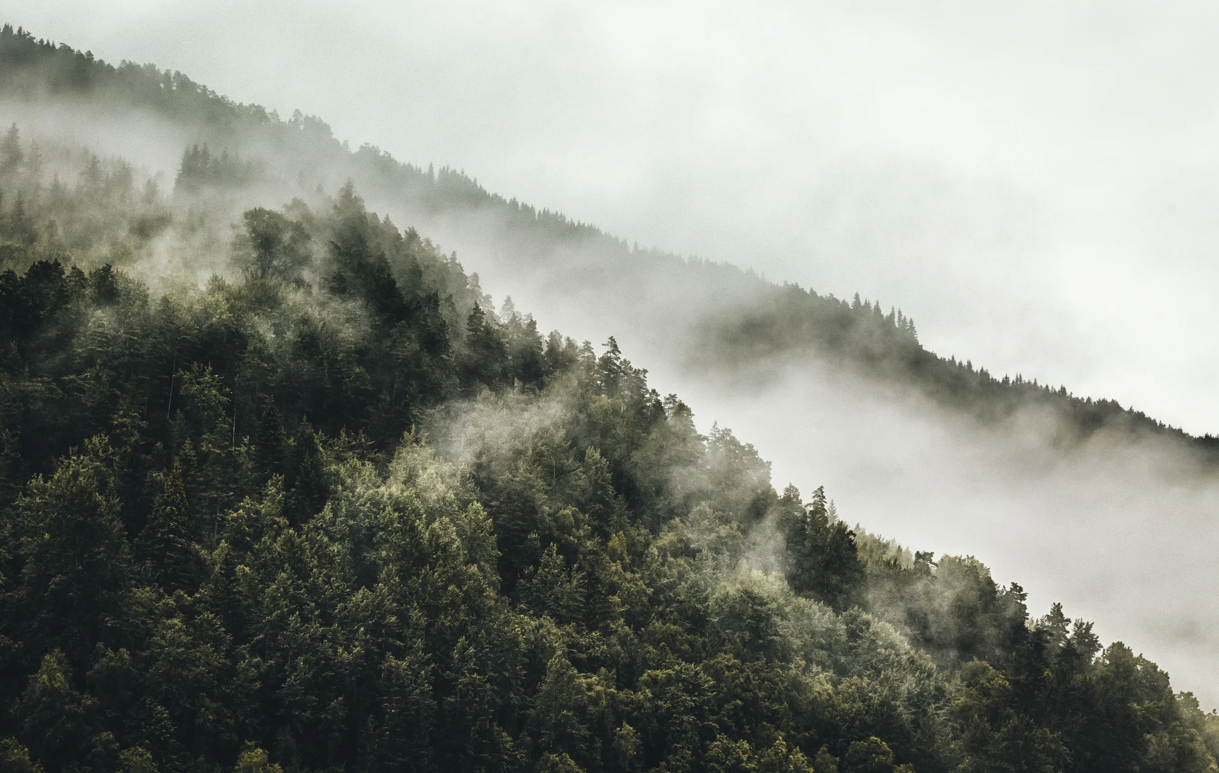 4D5A4714-Edit-desat.jpg