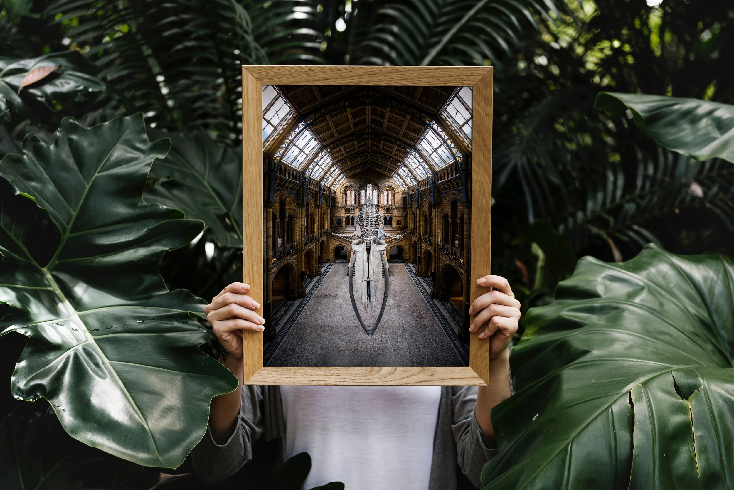 naturalhistory-preview2.jpg
