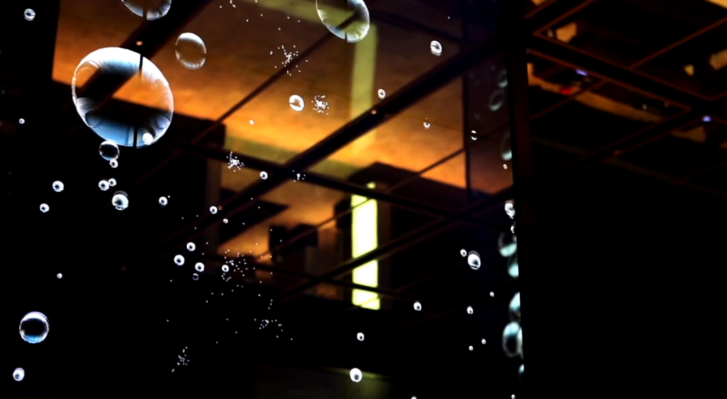 Screen Shot 2017-08-10 at 11.33.55 AM.png