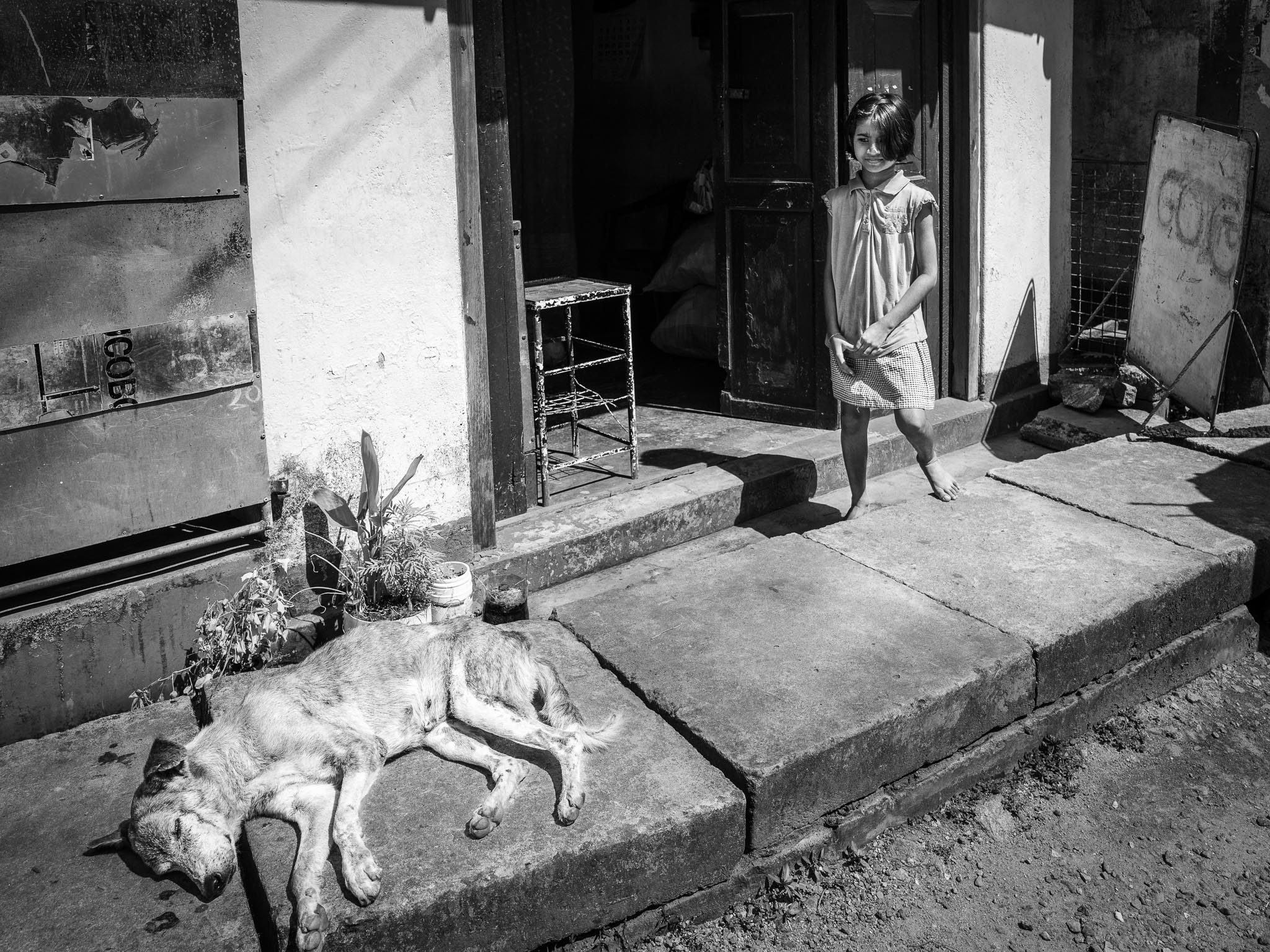 She was not sure what to make of this ... (Leica Q)