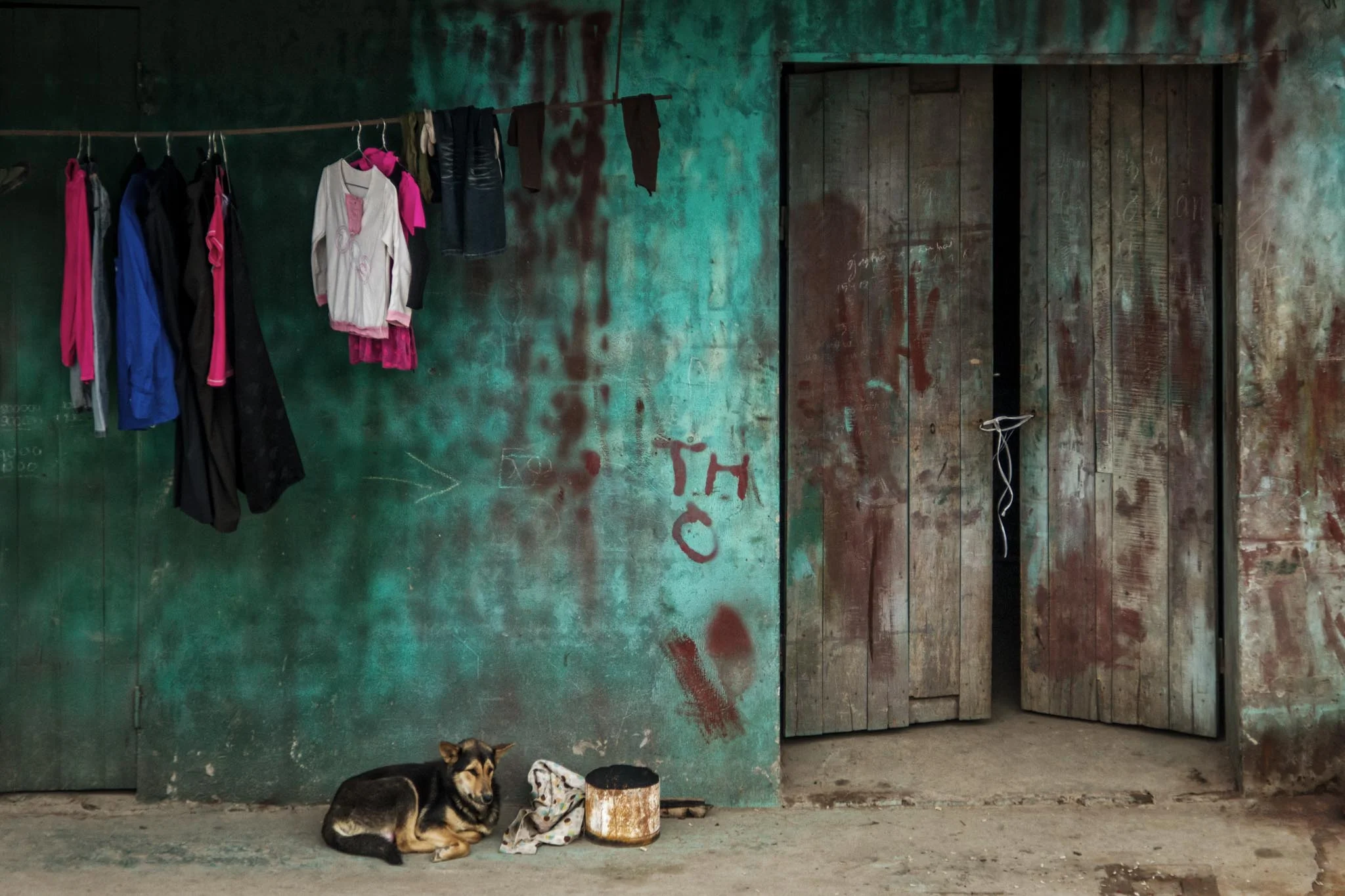 Lazy Dog ... (Vietnam)