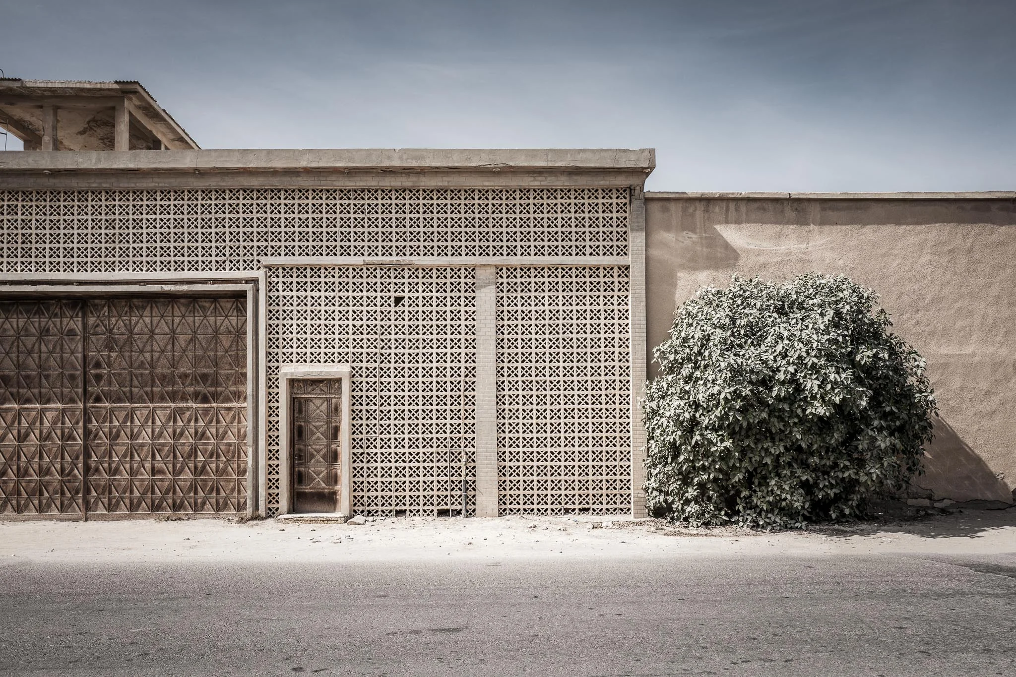 Qatar Unfiltered ... The Dusty Bush ...