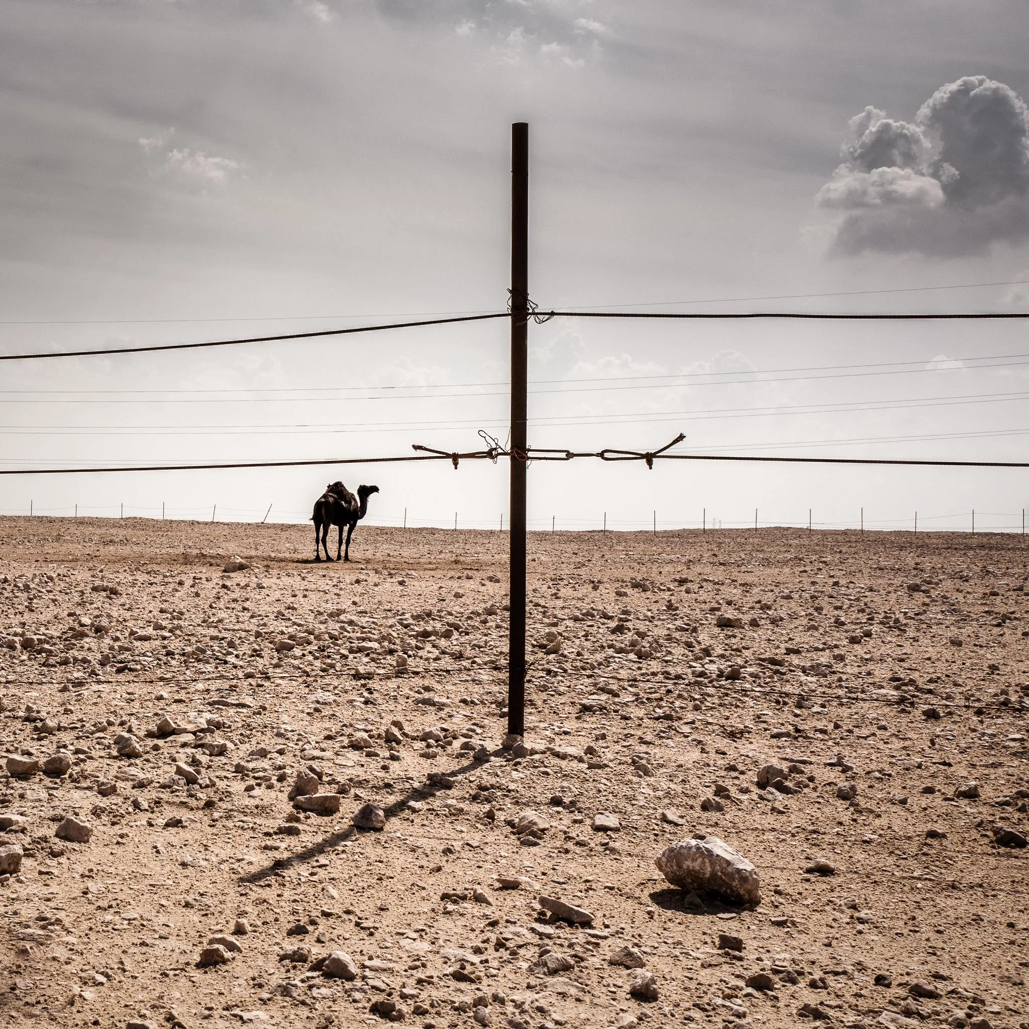Qatar-45.jpg