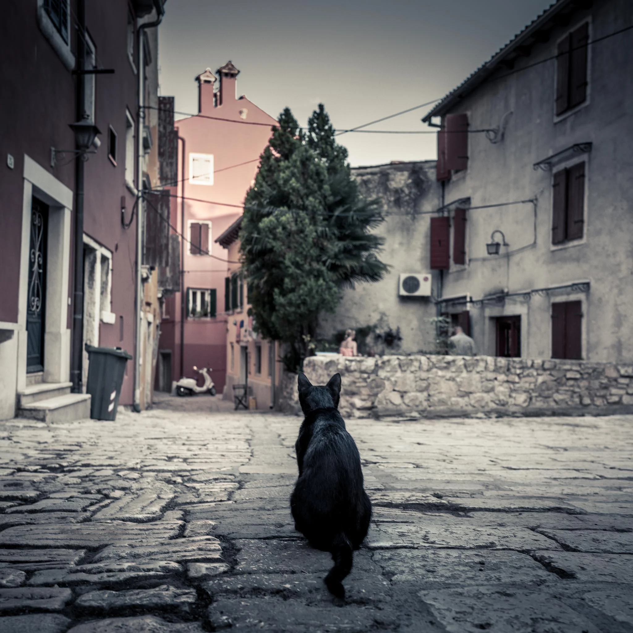 Slow Day in Rovinj (Croatia)