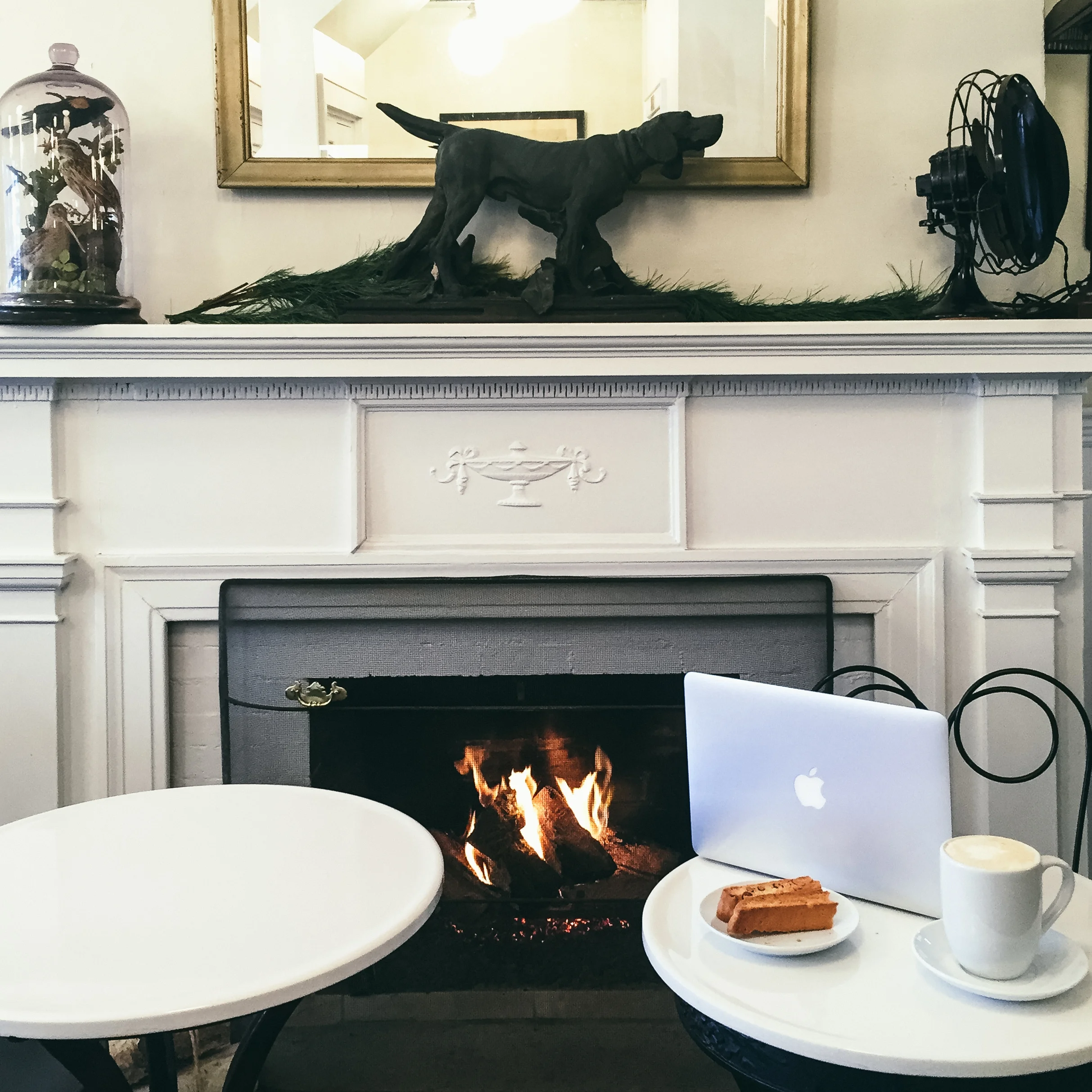 American Bulldog Coffee Roasters // 31 N Broad St, Ridgewood, NJ 07450
