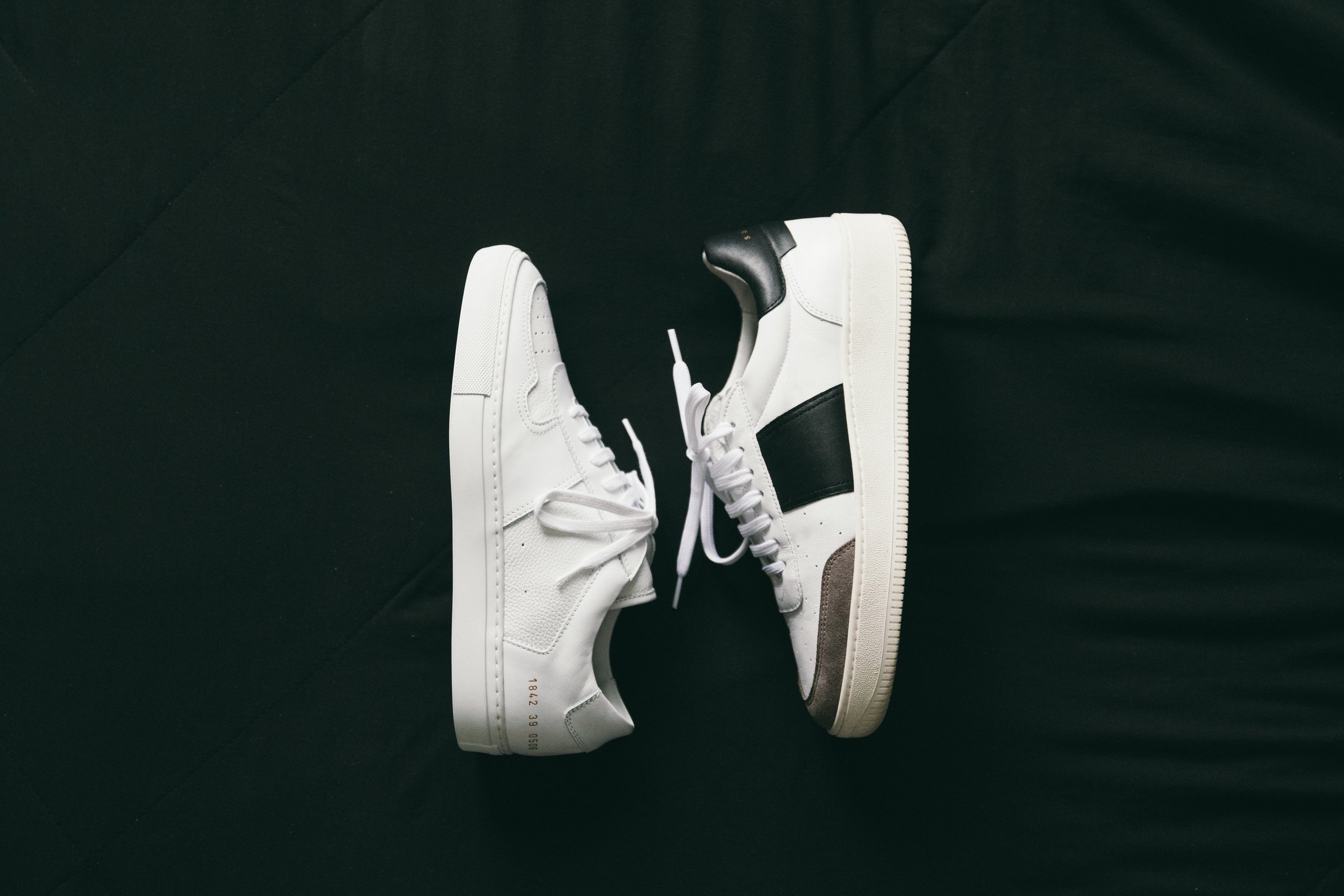 common-sandro9665.jpg