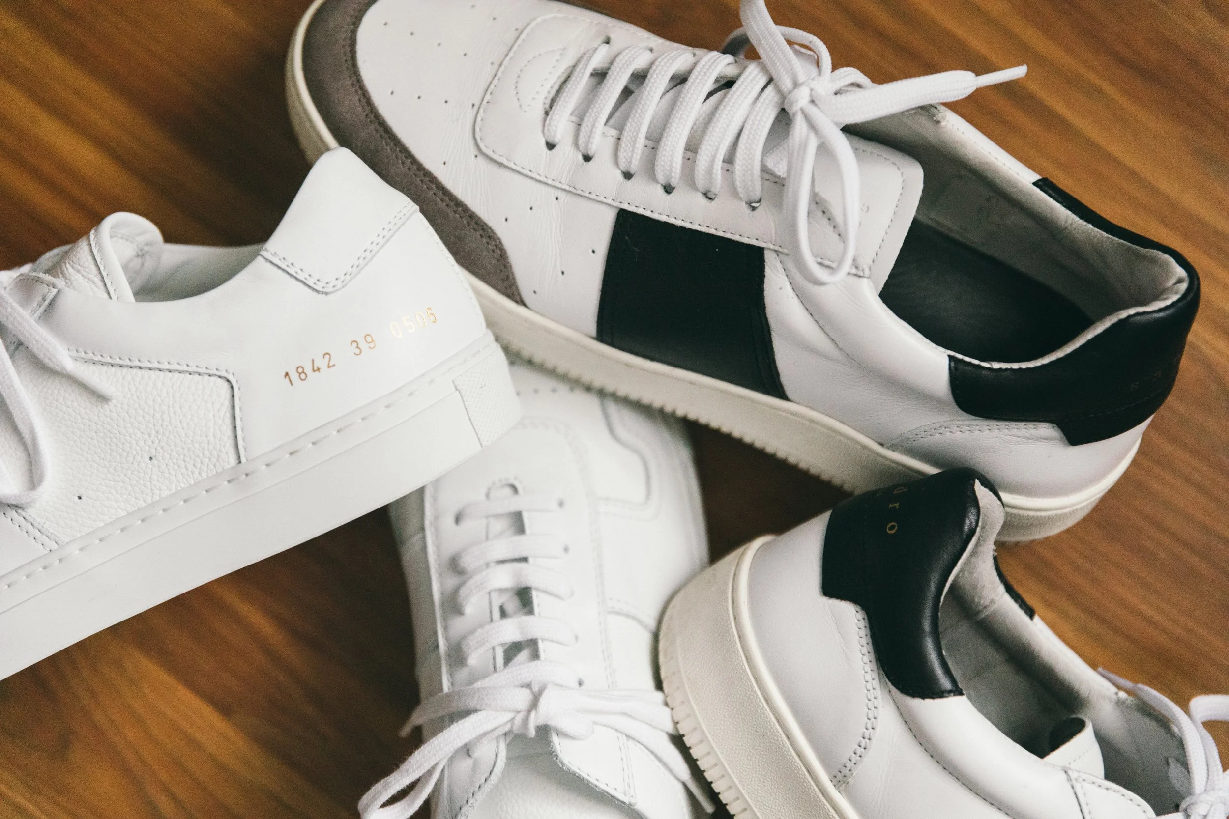 common-sandro9680.jpg