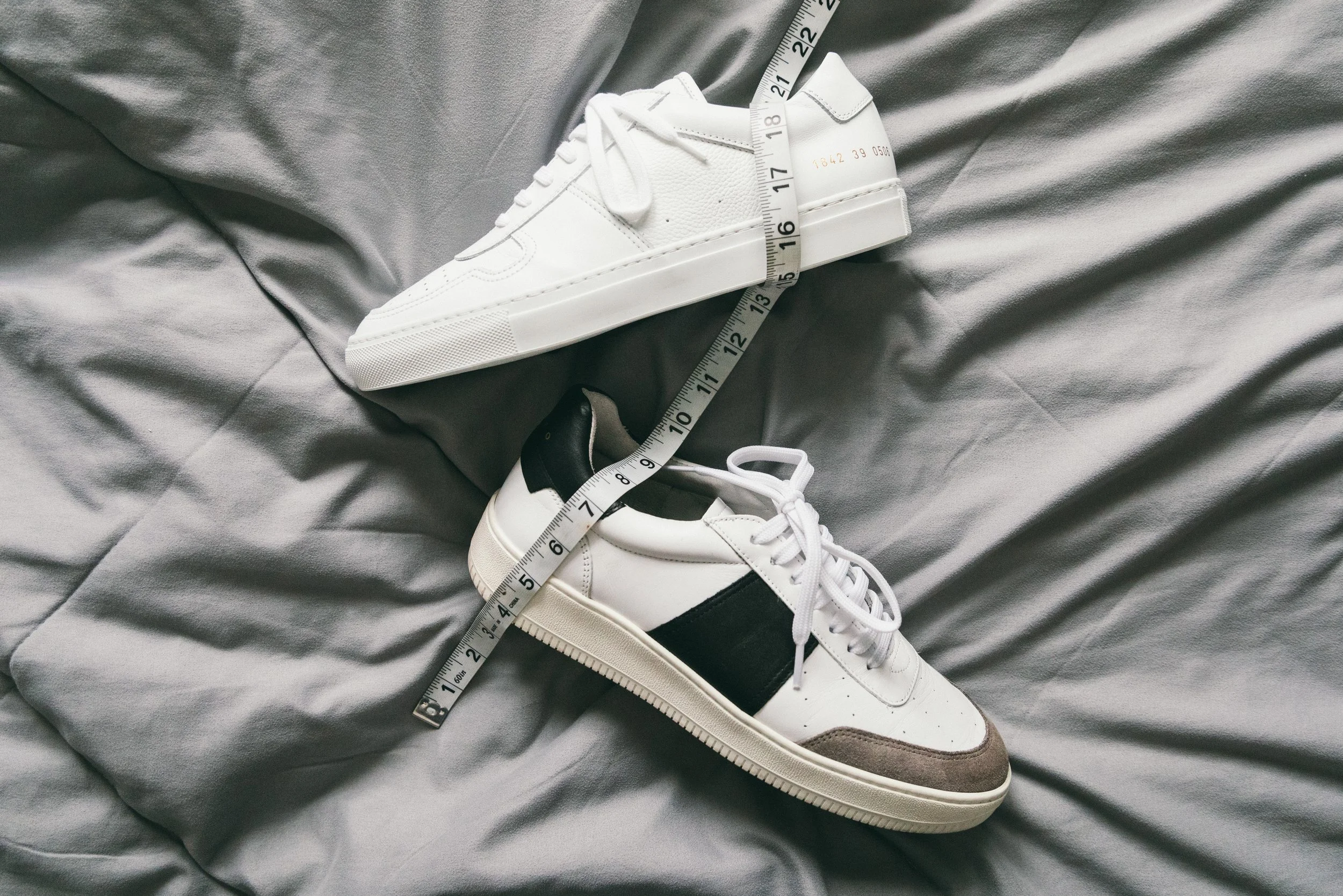 common-sandro9687.jpg