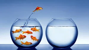 freedomfish.jpg
