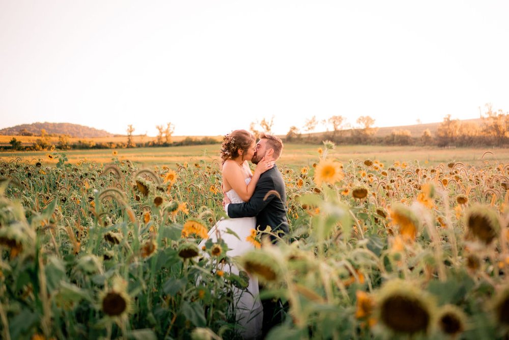 Oak Hill Farm Sunflower Fields Wedding