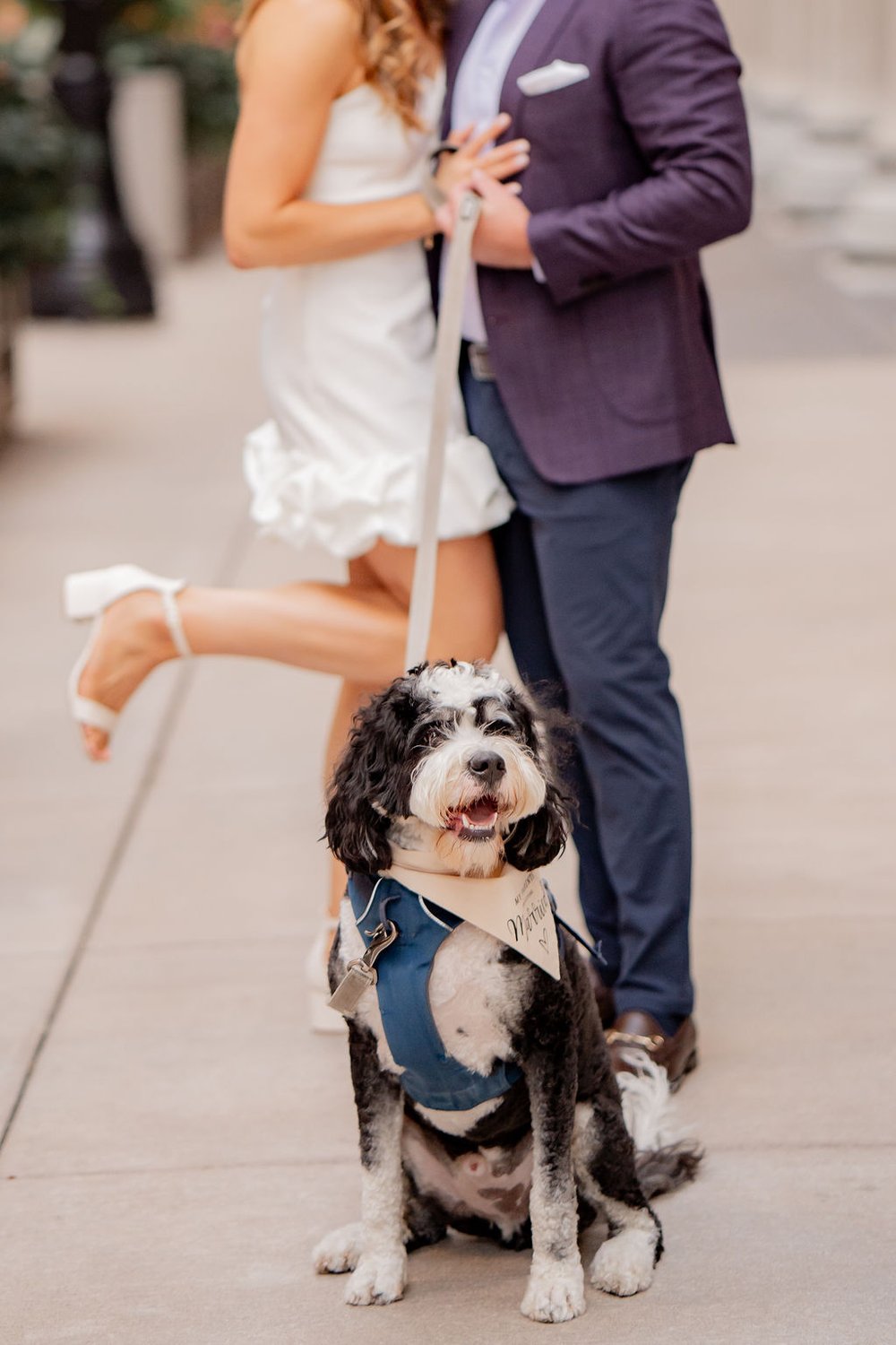 Downtown Chicago Engagement Session with Dog