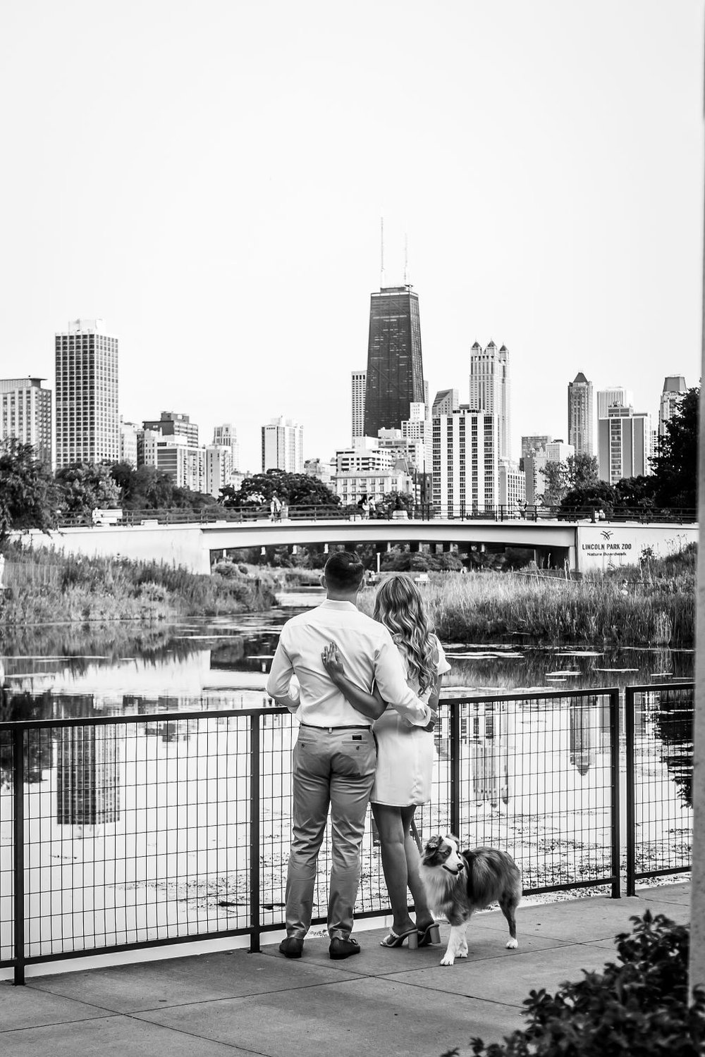 chicago-engagement-session-dog (24).jpg