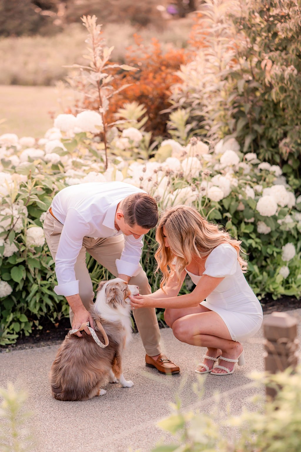 lincoln-park-engagement-session-with-dog.jpg