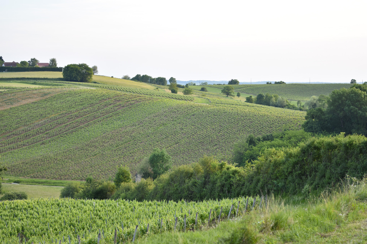 FumeyChatelain-Photo-01.jpg
