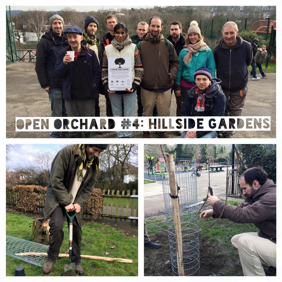 Open Orchard Project West Norwood