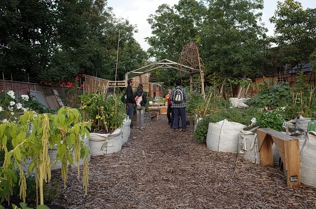 loughborough-farm-oct-2015-02.jpg