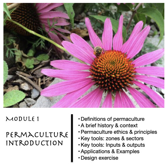 The Ecology of Wellbeing - An Online Introduction to Permaculture