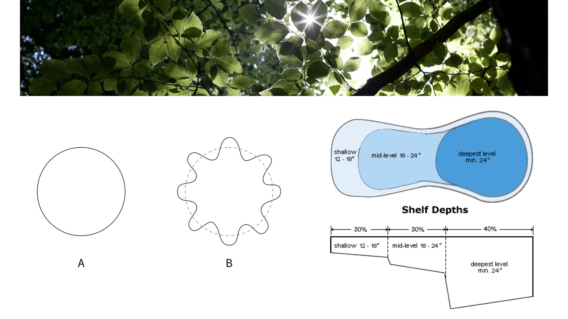 Module 3 slides.015.jpeg