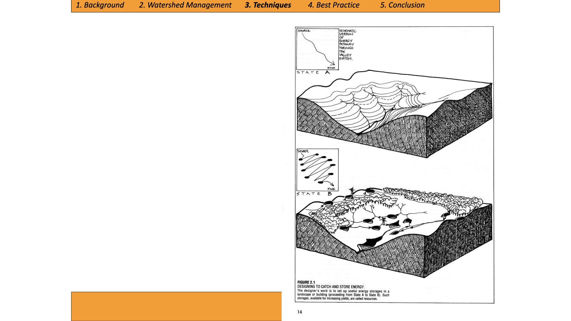 Module 3 slides.057.jpeg