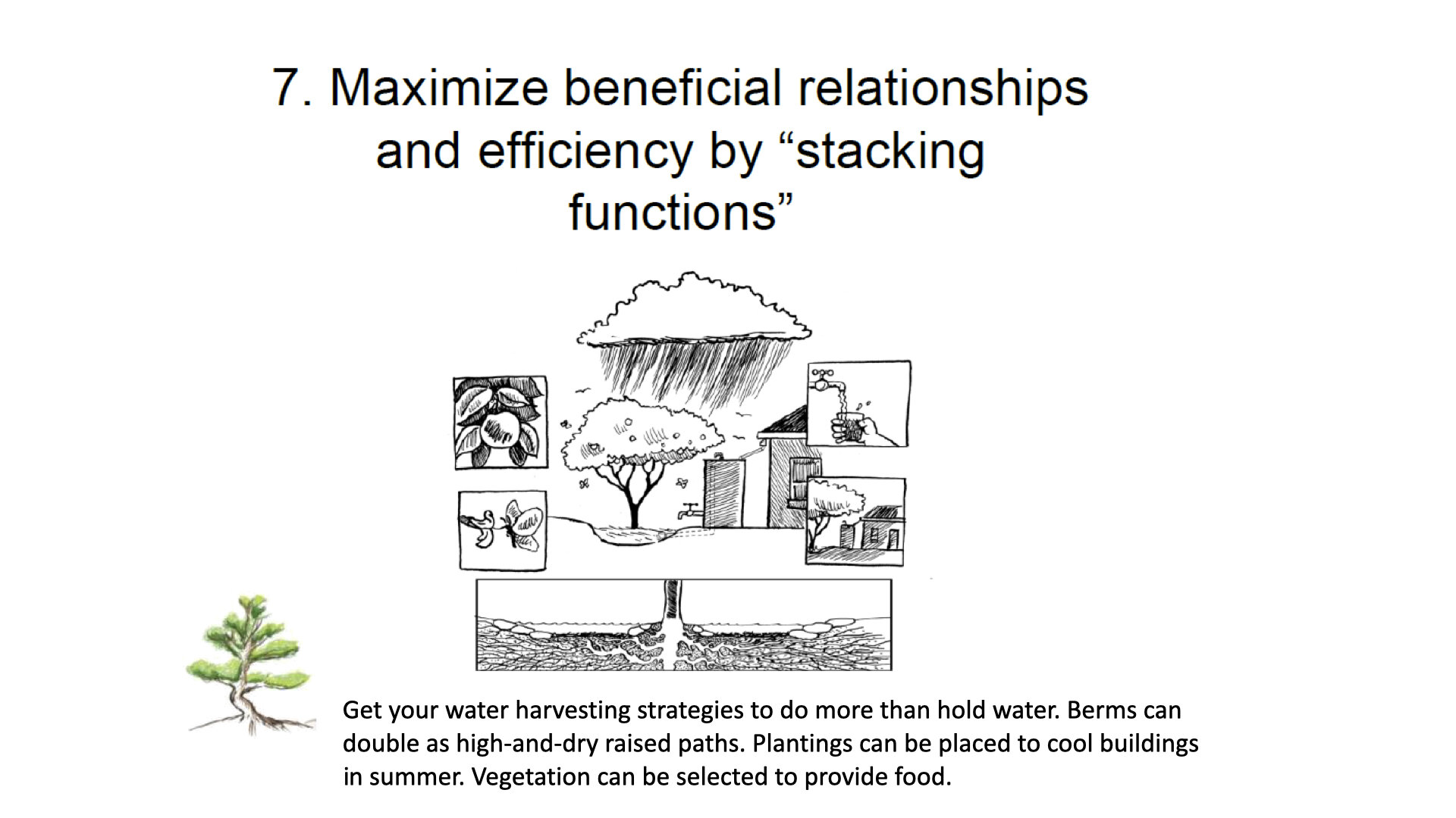 Module 3 slides.067.jpeg