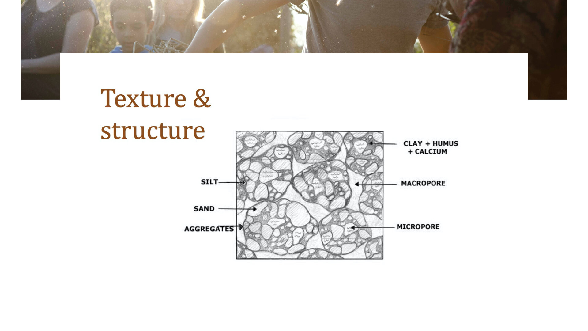 Module 4 slides.008.jpeg