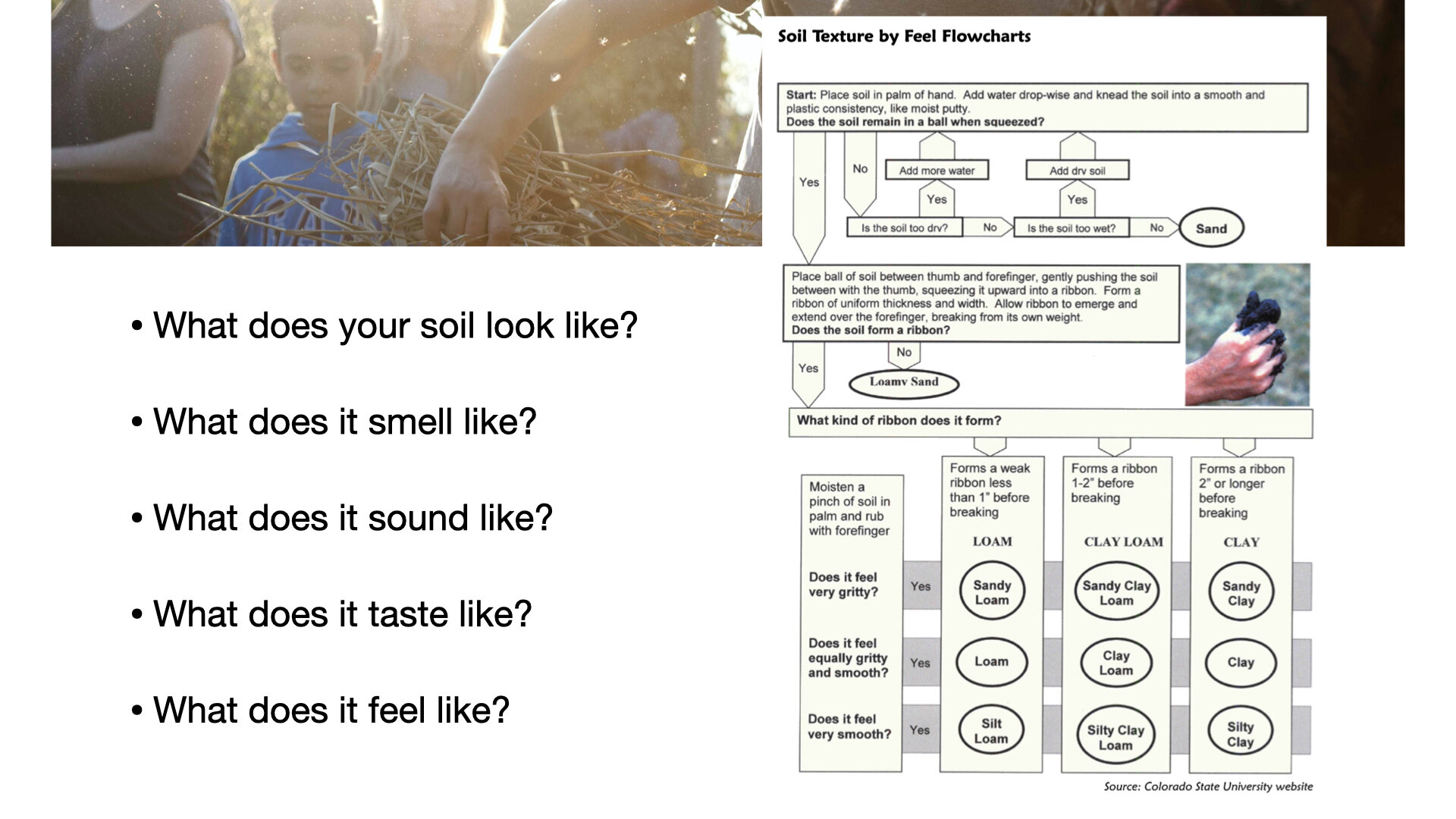 Module 4 slides.011.jpeg