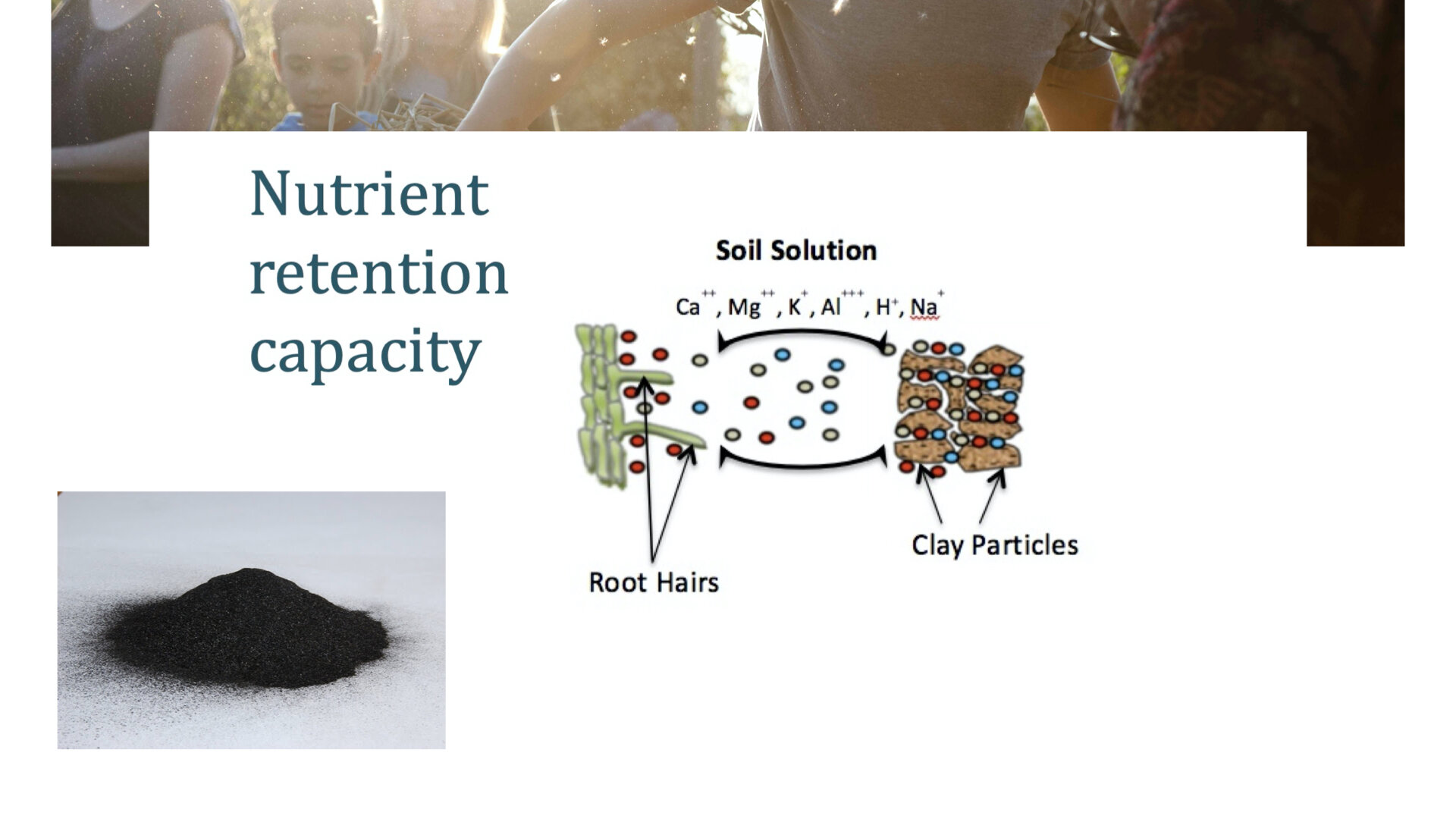 Module 4 slides.015.jpeg