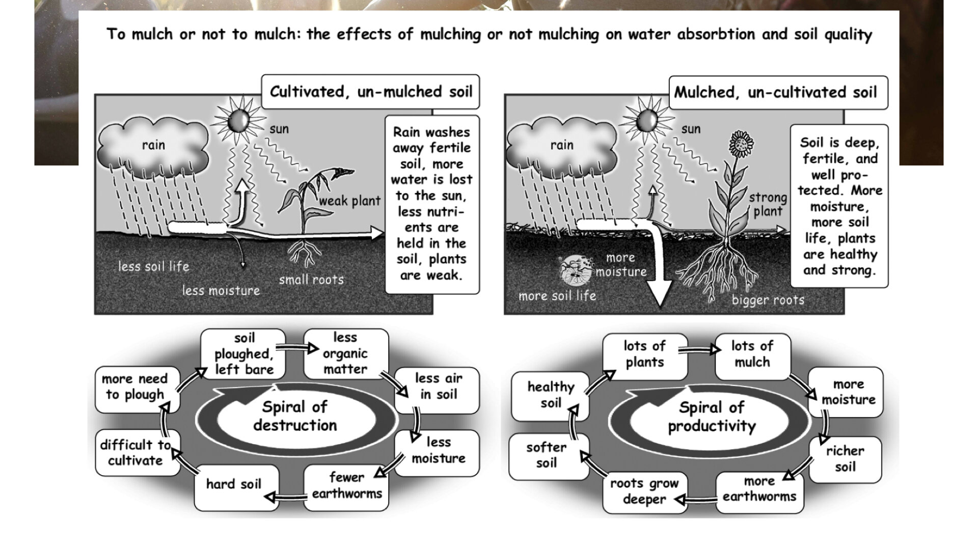 Module 4 slides.029.jpeg