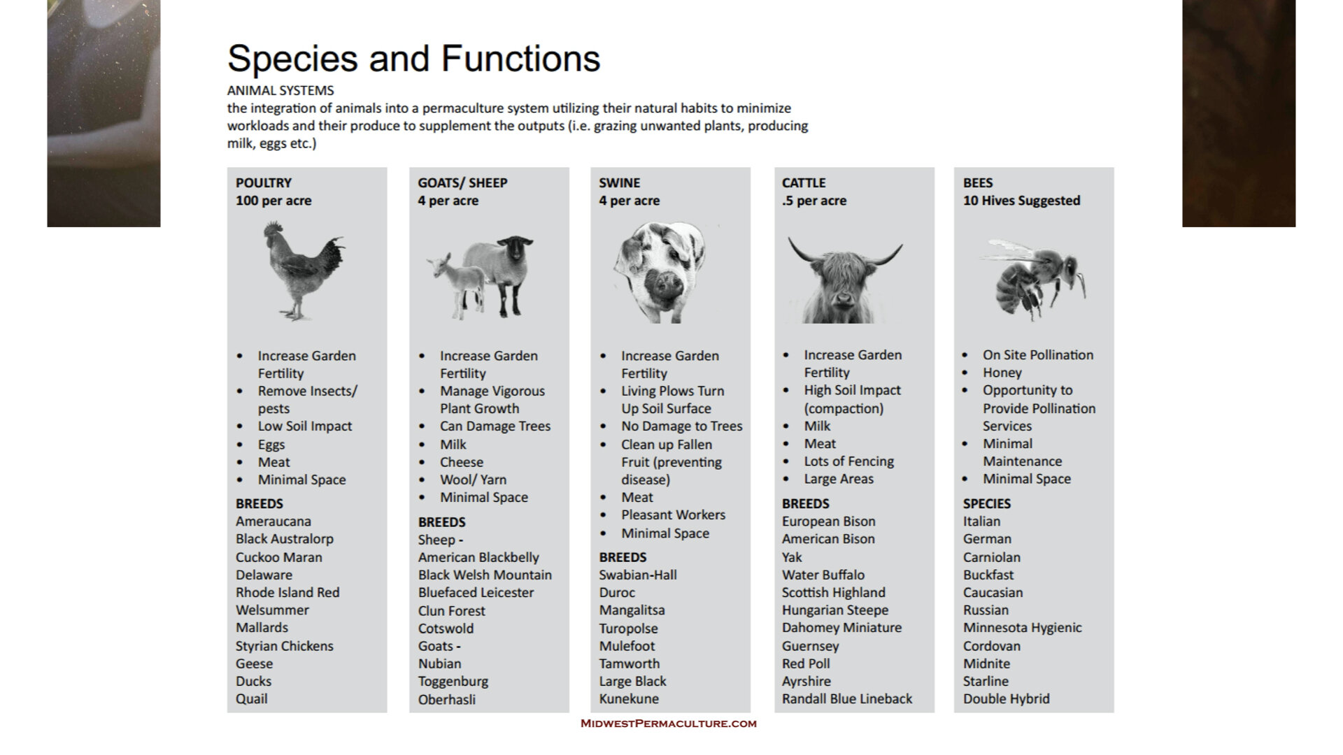 Module 4 slides.039.jpeg