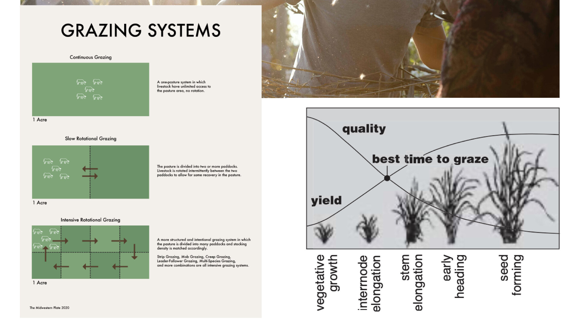 Module 4 slides.042.jpeg