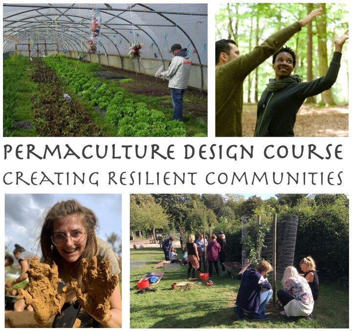 A month to go and we have a few spots left on the London Permaculture Design Course. We'll be planting, composting, building, engaging with the community and designing for resilience and regeneration.

This course is perfect for you whether you work 