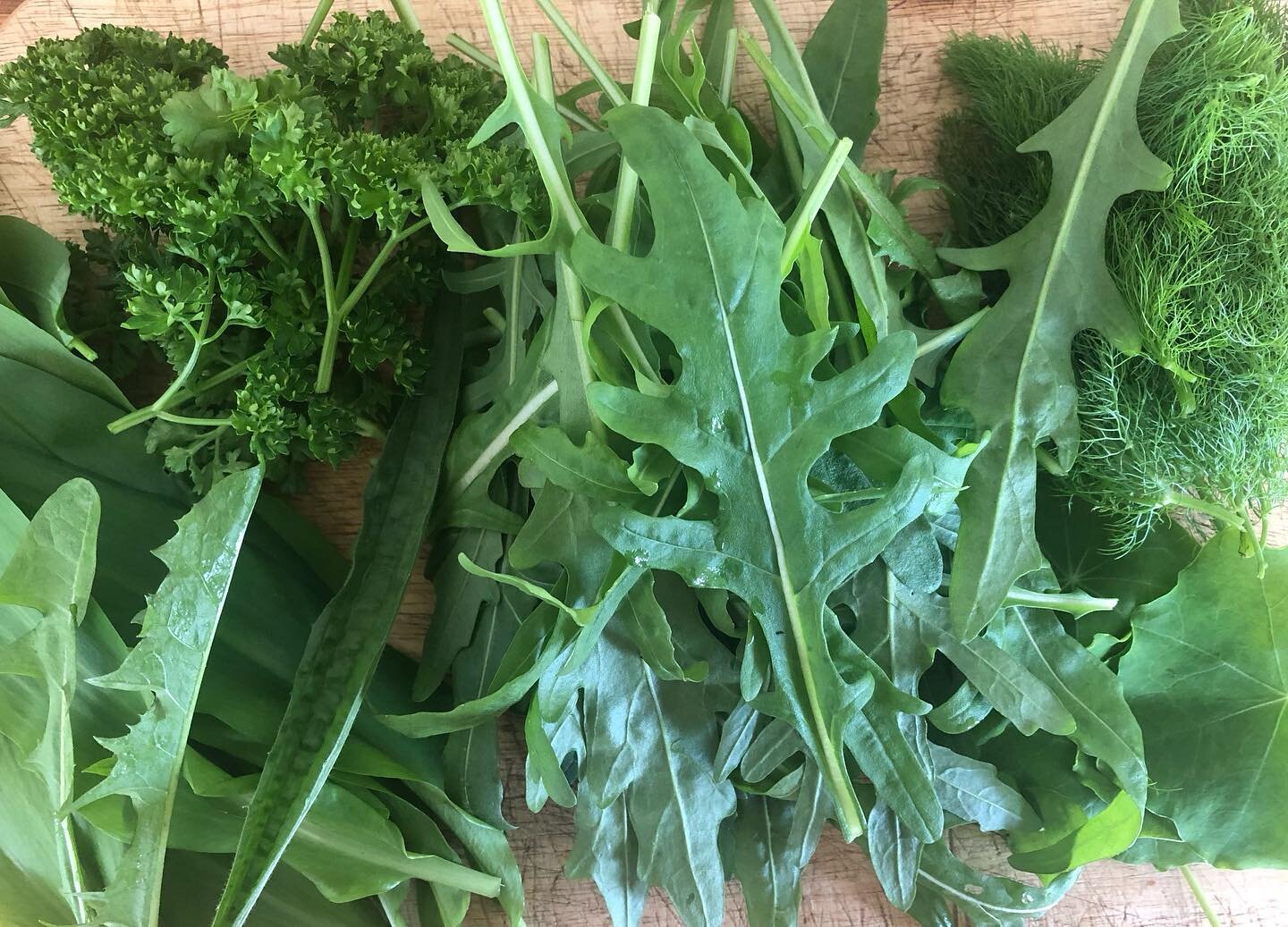 First day of the London Permaculture Design Course is tomorrow. I&rsquo;m getting ready for the abundant pot luck lunches by making a half wild half home grown pesto filled willed with spring energy. Nettles (first turned into tea) and rocket are the