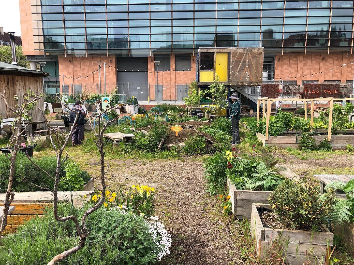 A few impressions from day 2 of the London Permaculture Design Course at the Story Garden.

_____________________
#permaculture #permaculturedesigncourse #pdc #permaculturedesign #storygarden #observation