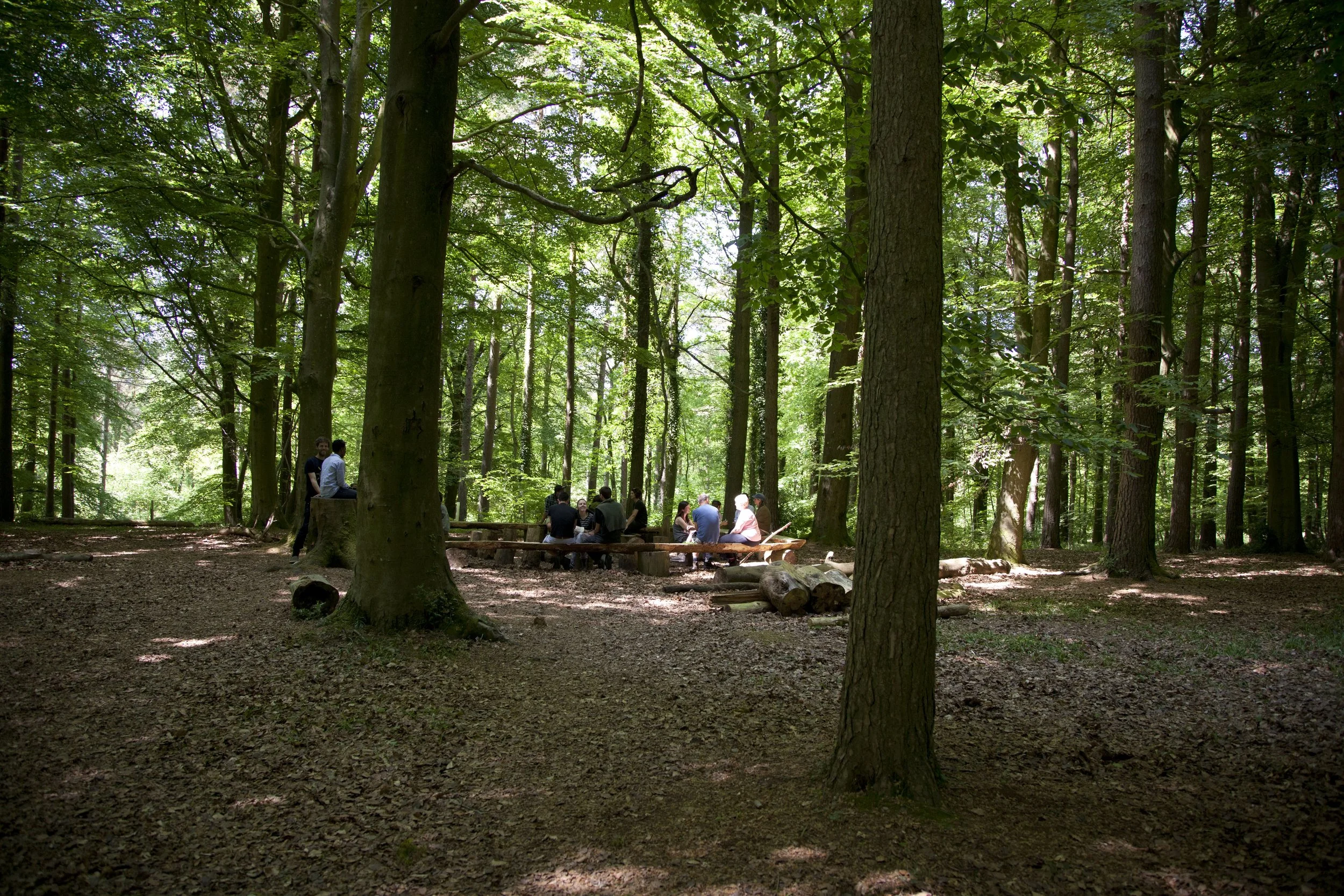 What the forest teaches: On relationship, design and the education we need