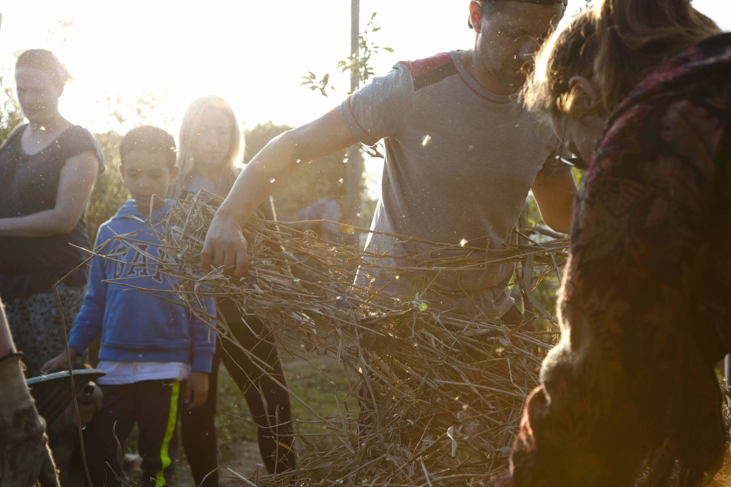 Dartington Permaculture Design Course - South Devon