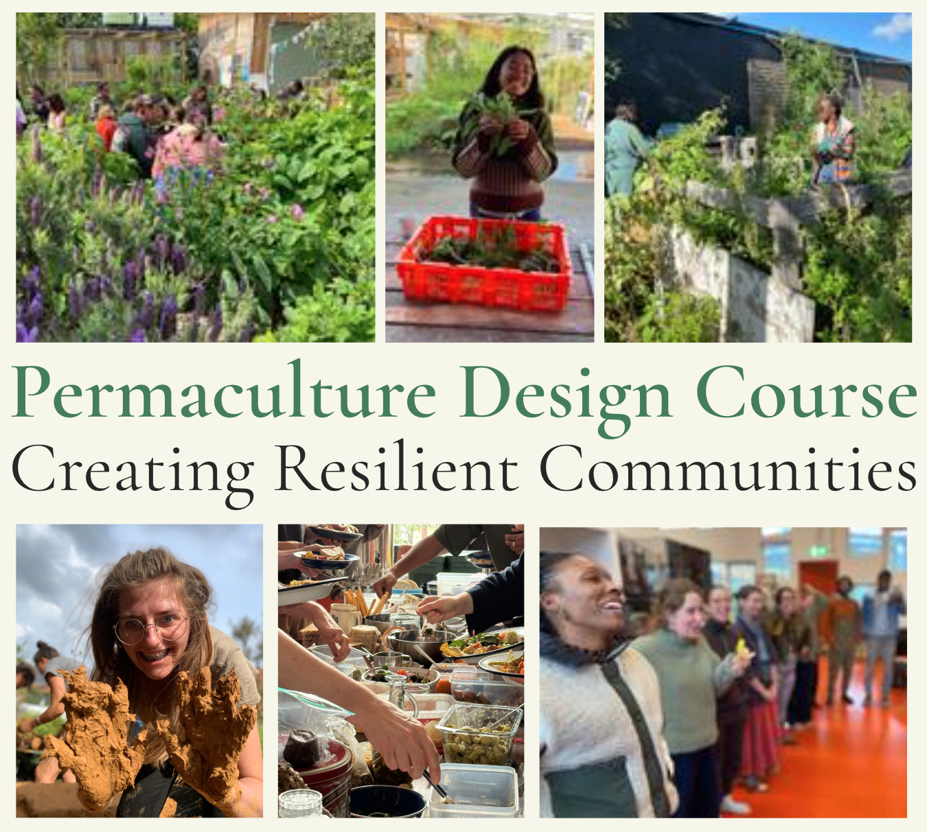 London Permaculture Design Course - Creating Resilient Communities