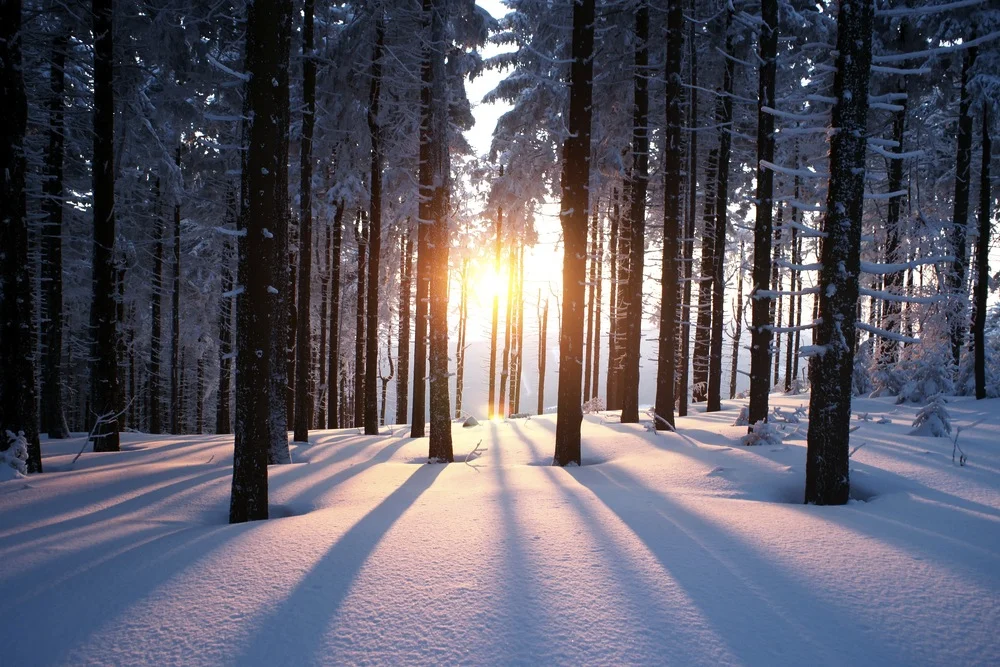 winter-solstice.jpg