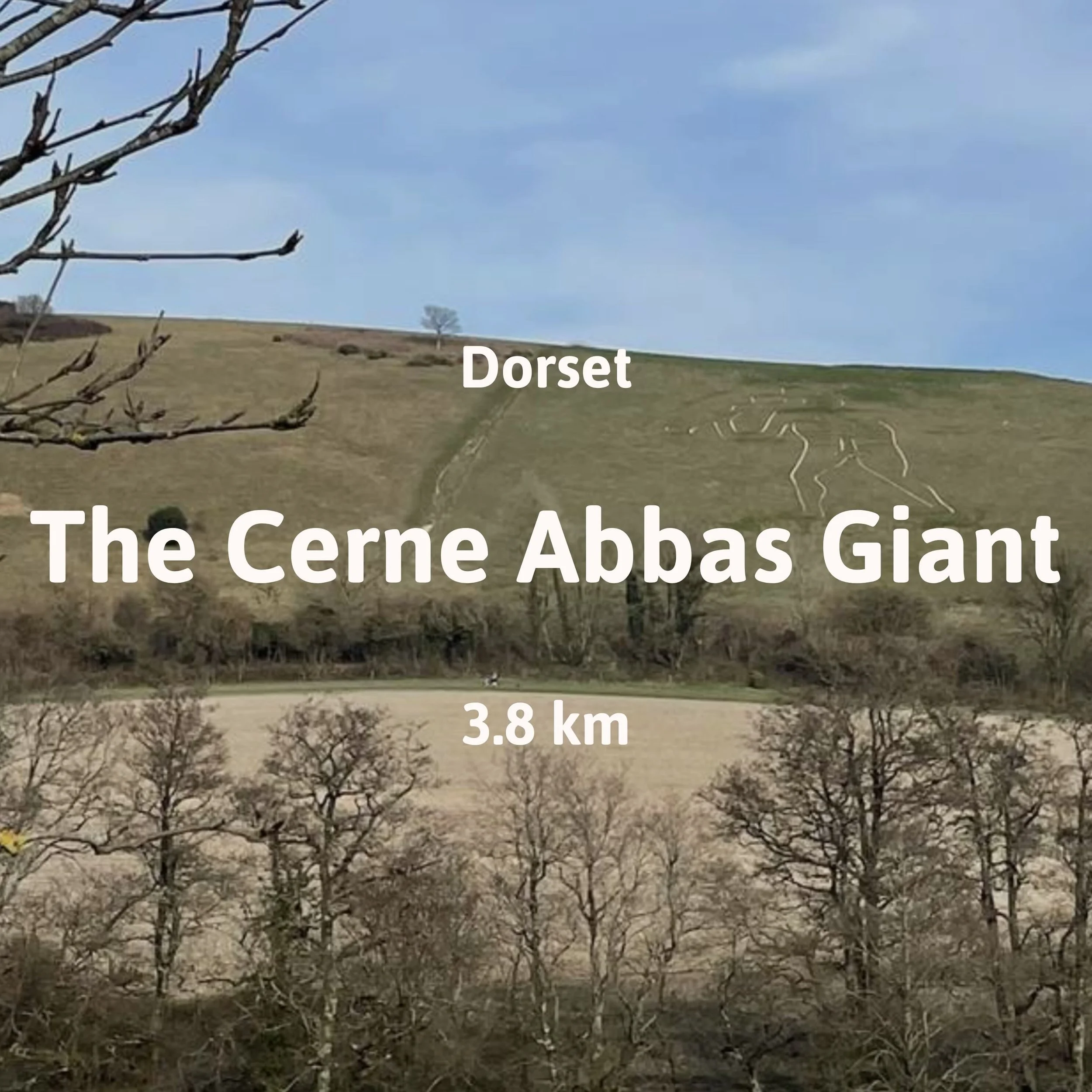 View across to the chalk hillside showing the Cerne Abbas giant which is sculpted into the Dorset hillside.