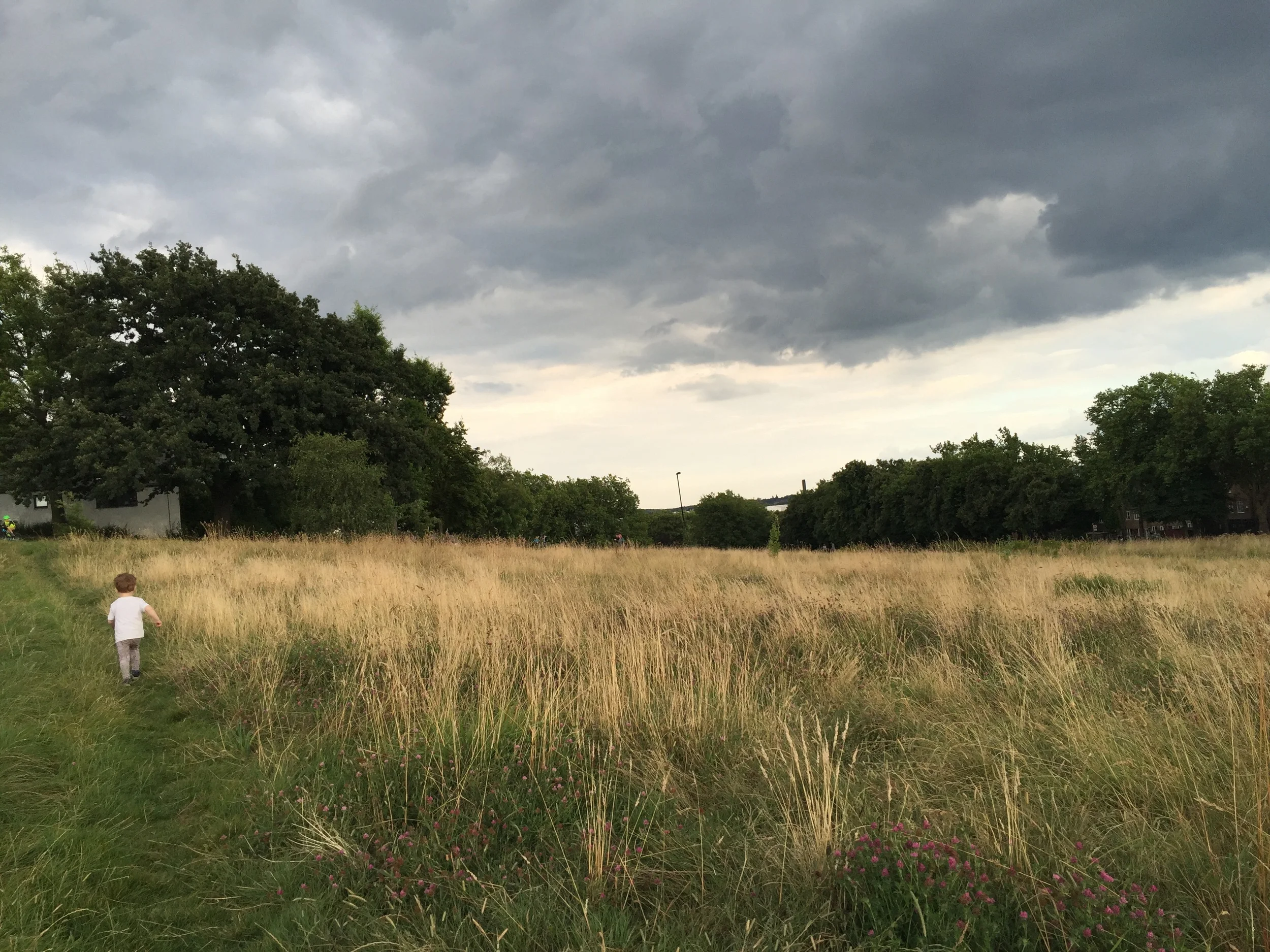 Exploring South East London's Hidden Green Gems