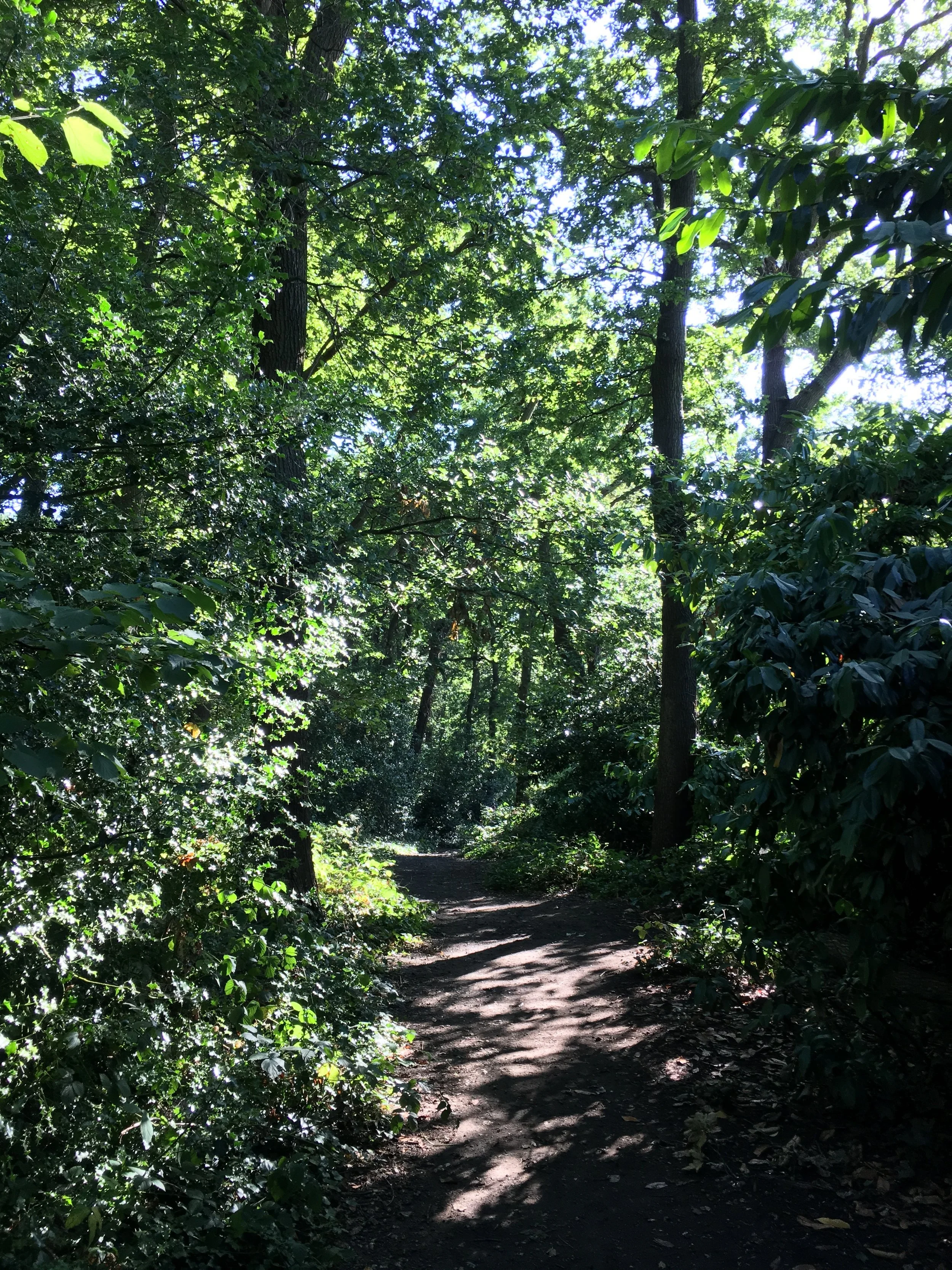 A jaunt around Crystal Palace and Sydenham