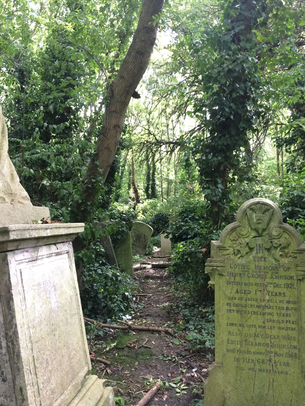 A thrilling walk through Abney Park Cemetery in central London