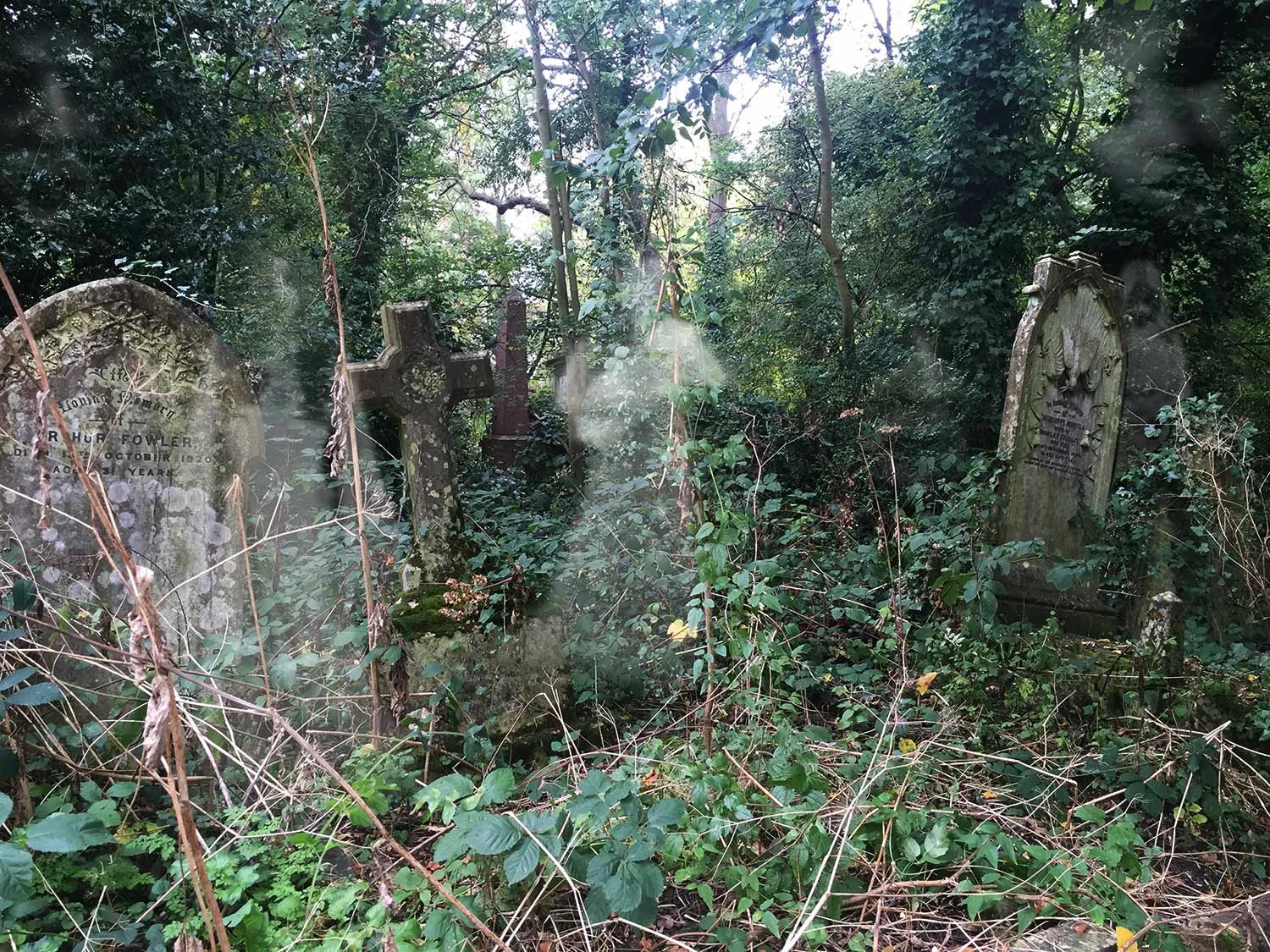 Perfectly spooky outdoor events for Halloween 