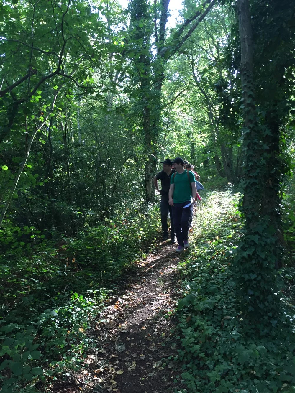 Brockley Nature Reserve & New Cross Gate Cutting