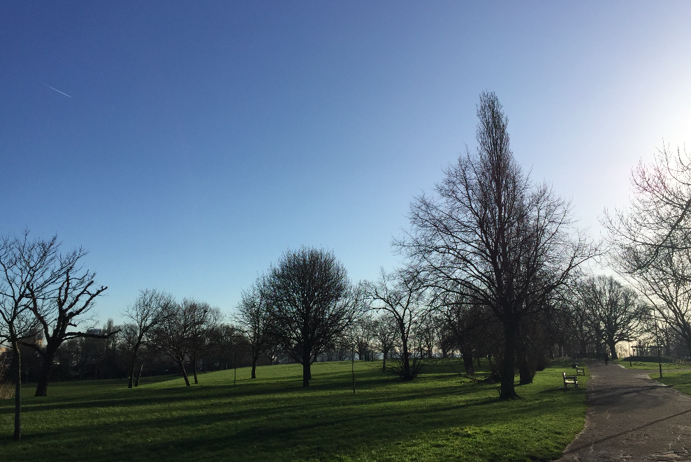 Best London parks for free New Year's Eve fireworks