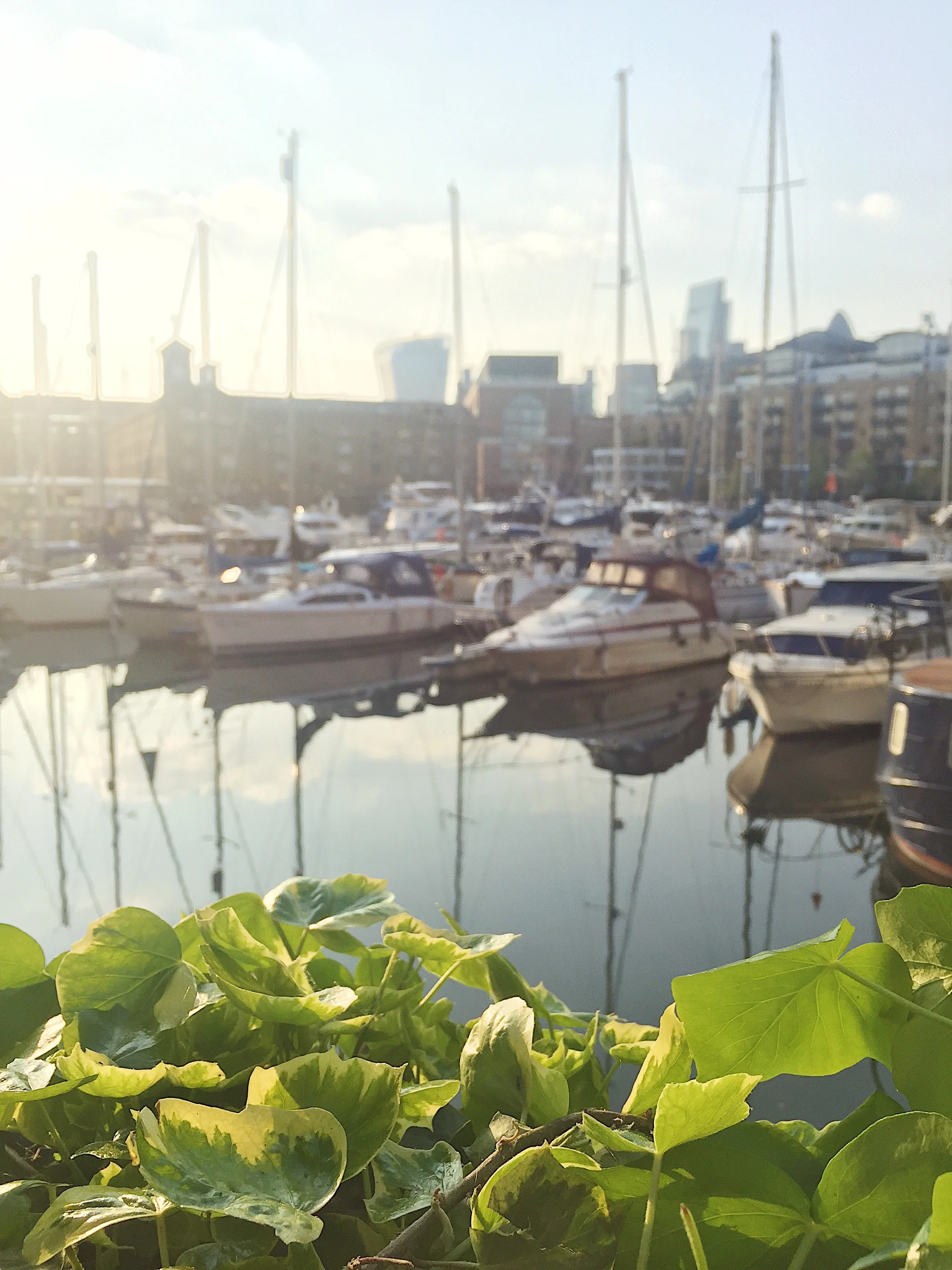 One of our Go Jauntly team members has a particuallrly nice commute...