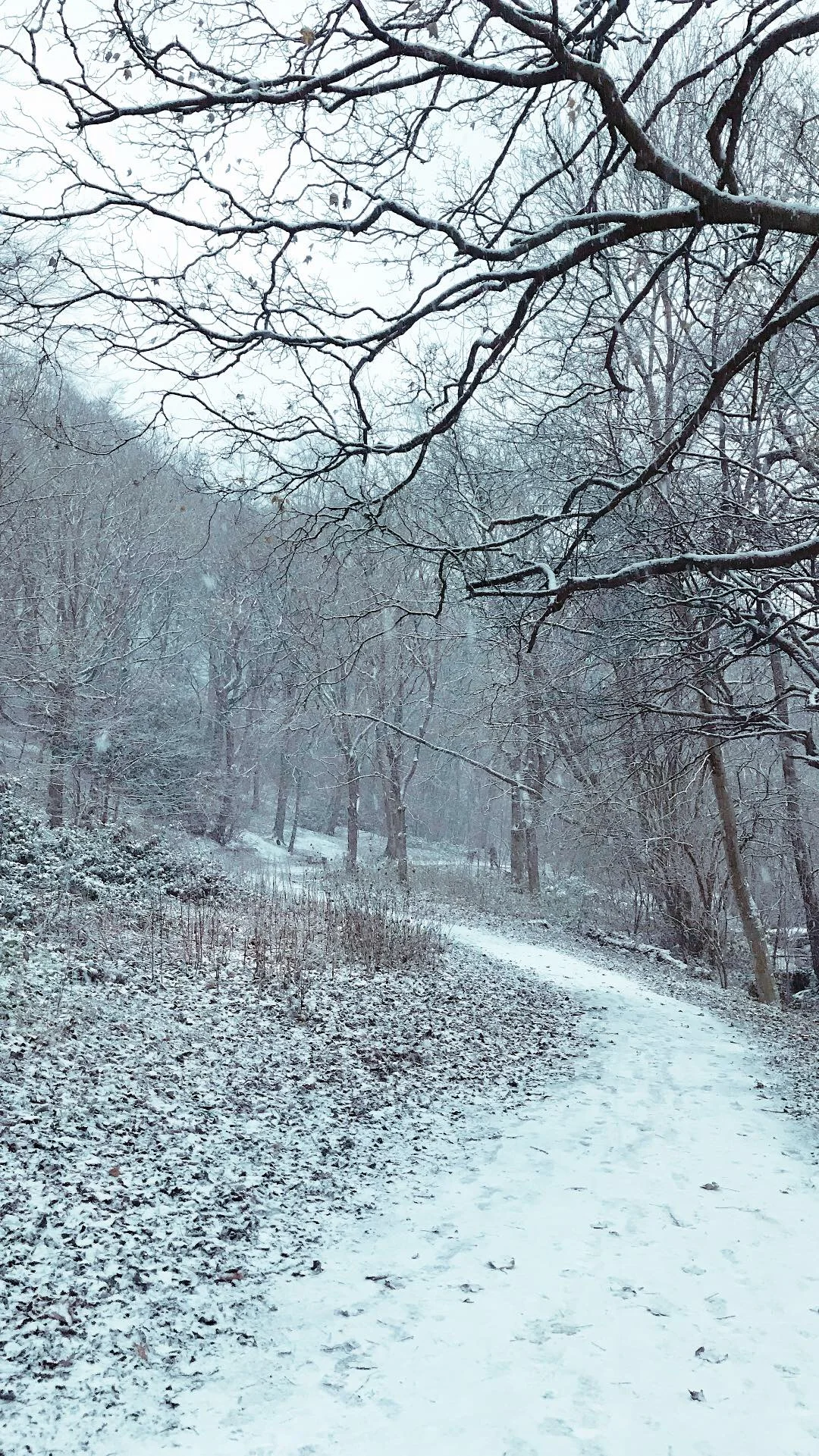 The ultimate guide to our favourite festive walks