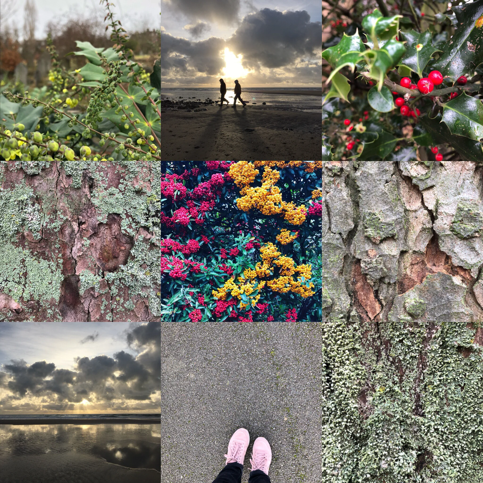 GoJauntly2017-walking-routes.jpg