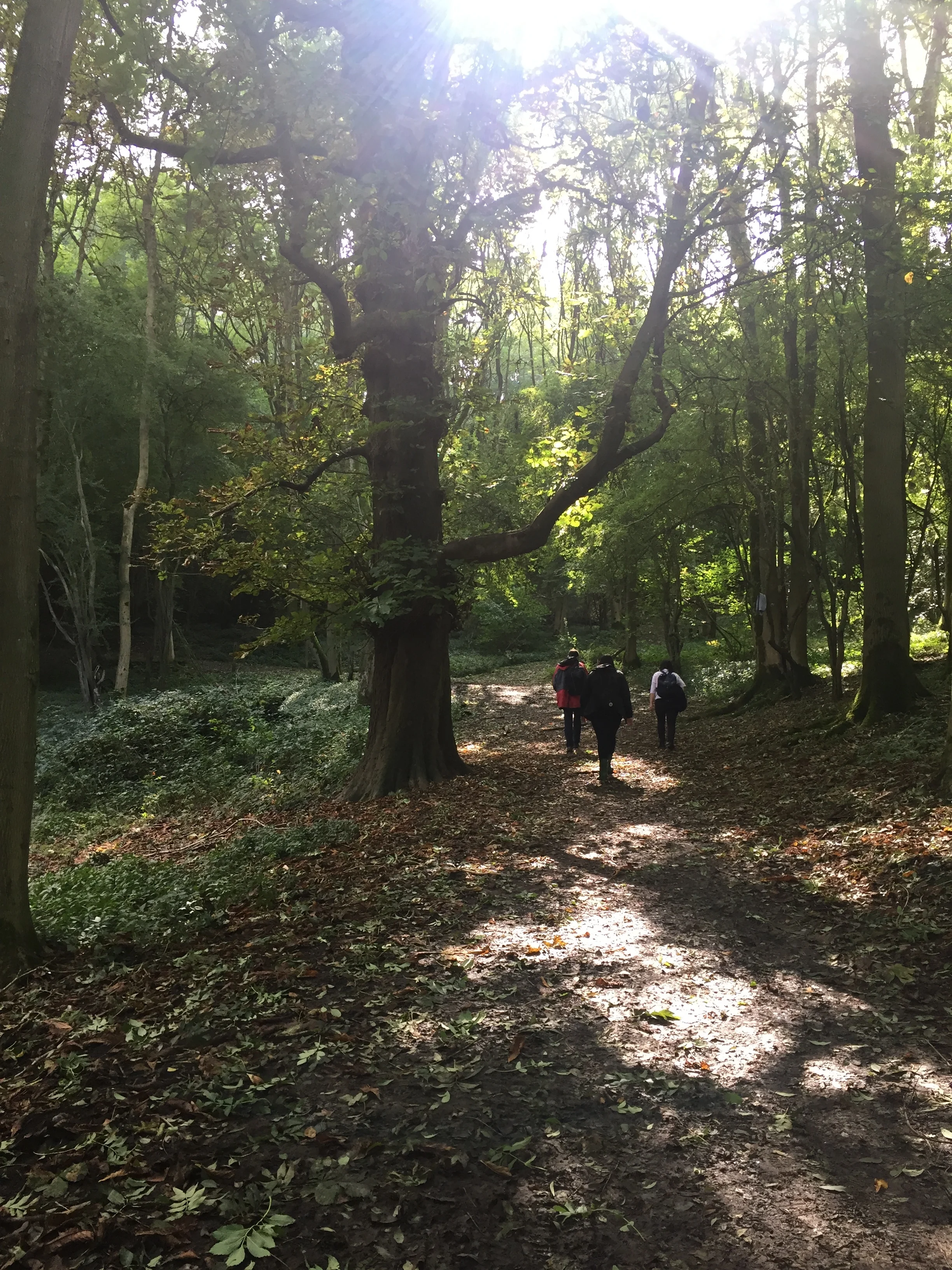 Join Go Jauntly on our biggest jaunt yet! 