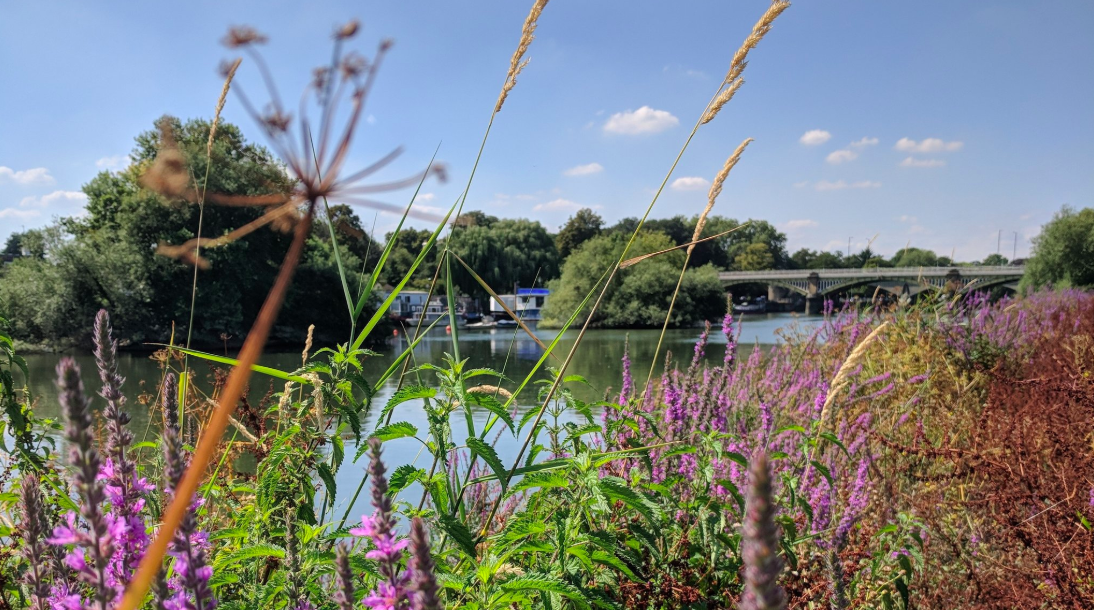 Best way to walk the London Capital Ring route